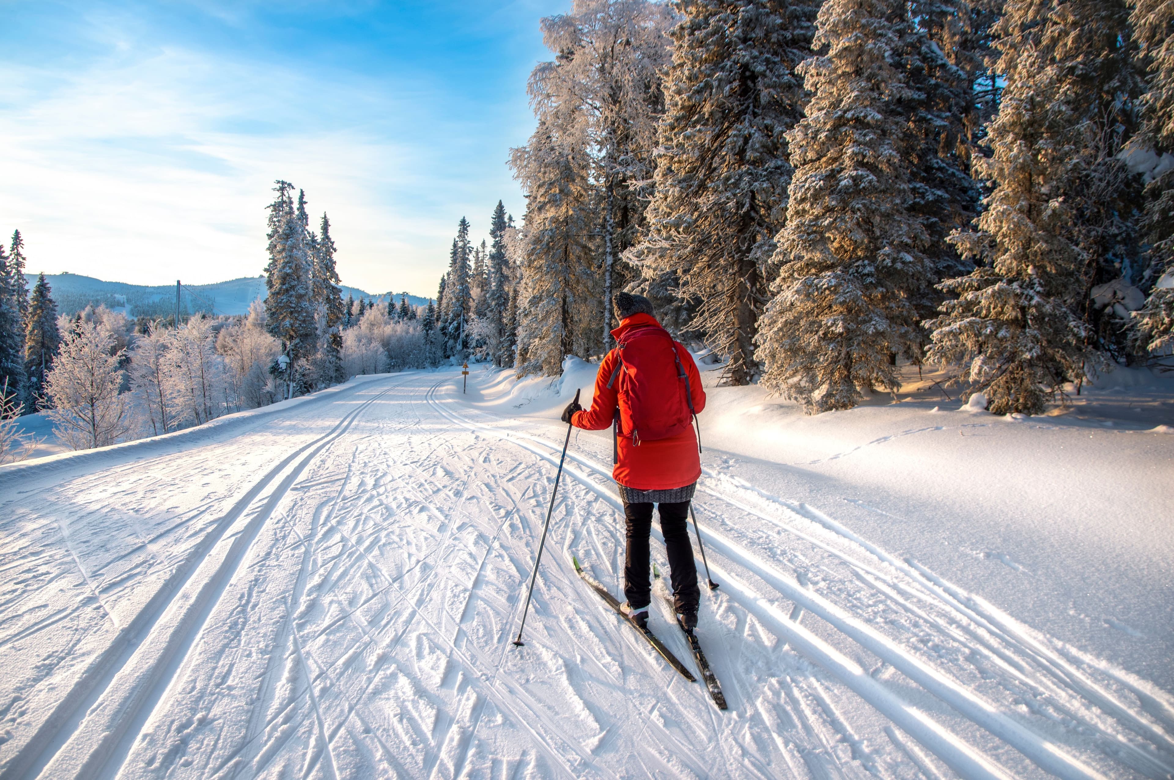 Overføring og utbetaling av feriedager – regler, rettigheter og plikter